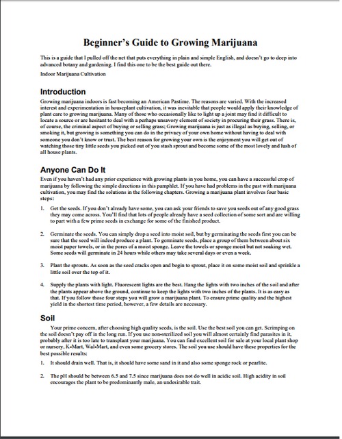 Product picture Beginners Guide To Growing Marijuana